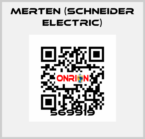 569919 Merten (Schneider Electric)