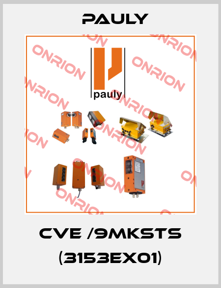 CvE /9mKSTS (3153Ex01) Pauly