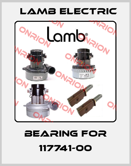 Bearing for 117741-00 Lamb Electric