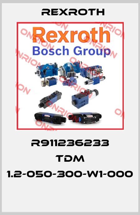R911236233 TDM 1.2-050-300-W1-000  Rexroth