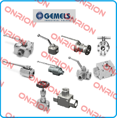 GE2GGT13011G000 Gemels