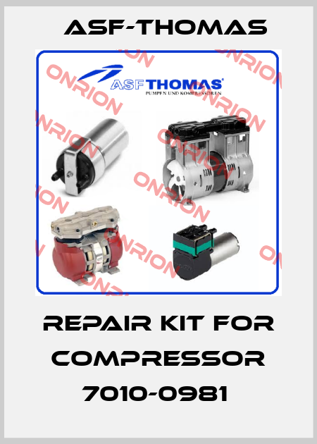 REPAIR KIT FOR COMPRESSOR 7010-0981  ASF-Thomas