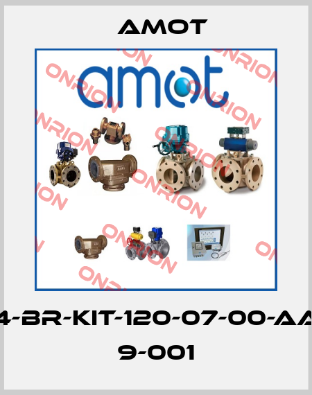 4-BR-KIT-120-07-00-AA 9-001 Amot