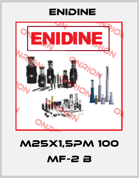 M25X1,5PM 100 MF-2 B Enidine