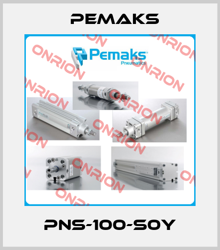 PNS-100-S0Y Pemaks