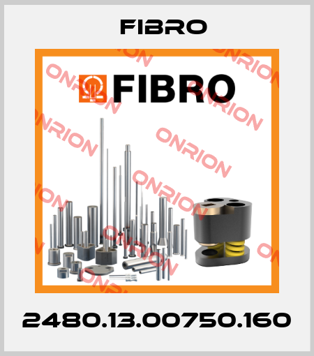 2480.13.00750.160 Fibro