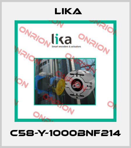 C58-Y-1000BNF214 Lika