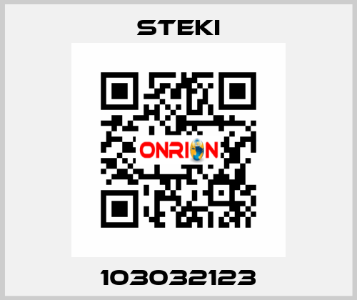 103032123 Steki