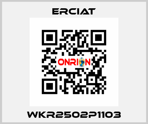 WKR2502P1103 ERCIAT