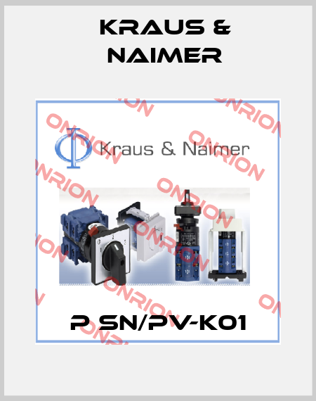 P SN/PV-K01 Kraus & Naimer