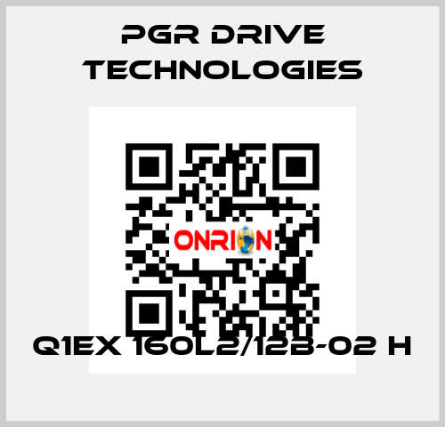 Q1EX 160L2/12B-02 H PGR Drive Technologies