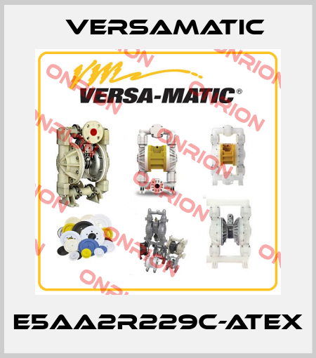 E5AA2R229C-ATEX VersaMatic