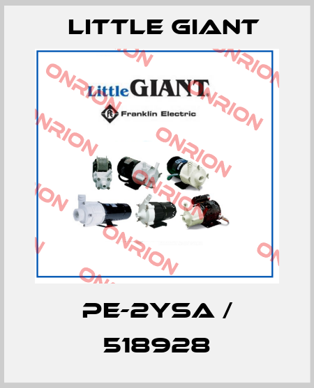 PE-2YSA / 518928 Little Giant