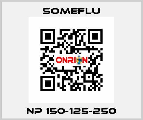 NP 150-125-250 SOMEFLU