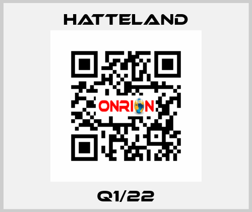 Q1/22 HATTELAND