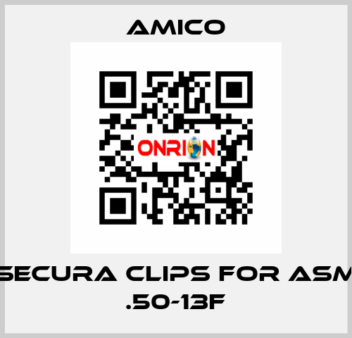 Secura Clips for ASM .50-13F AMICO