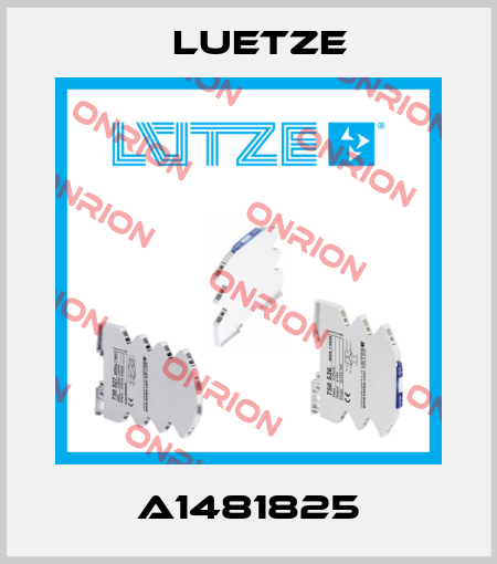 A1481825 Luetze