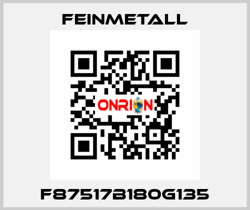 F87517B180G135 FEINMETALL