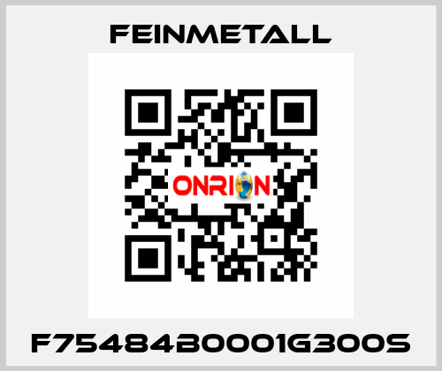 F75484B0001G300S FEINMETALL