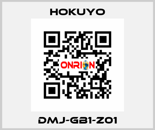 DMJ-GB1-Z01 Hokuyo