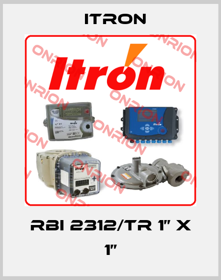 RBI 2312/TR 1” x 1” Itron