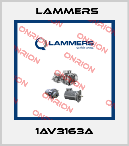 1AV3163A Lammers