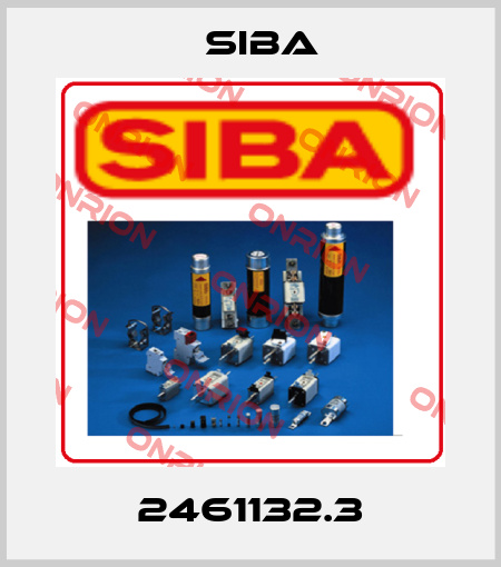 2461132.3 Siba