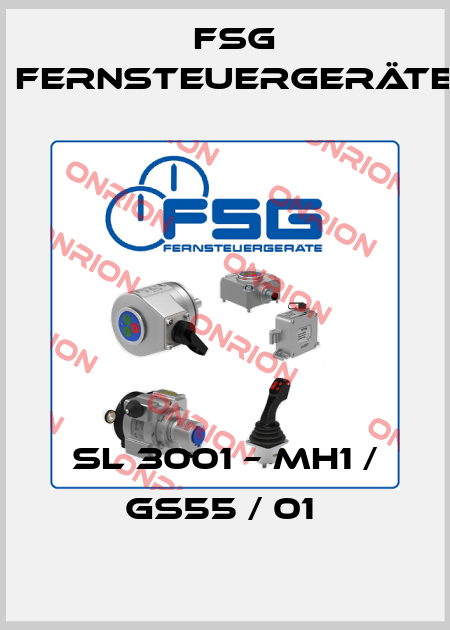 SL 3001 – MH1 / GS55 / 01  FSG Fernsteuergeräte
