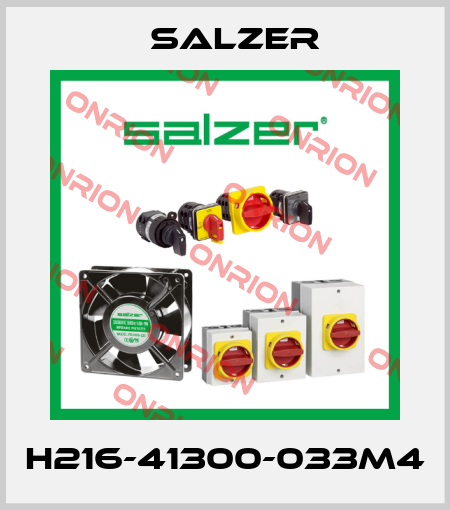 H216-41300-033M4 Salzer