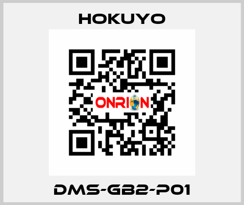 DMS-GB2-P01 Hokuyo