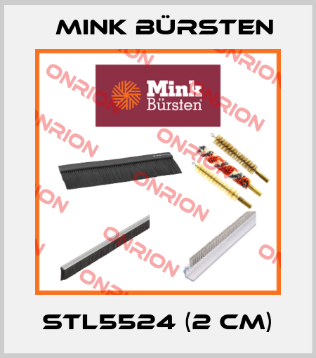 STL5524 (2 CM) Mink Bürsten