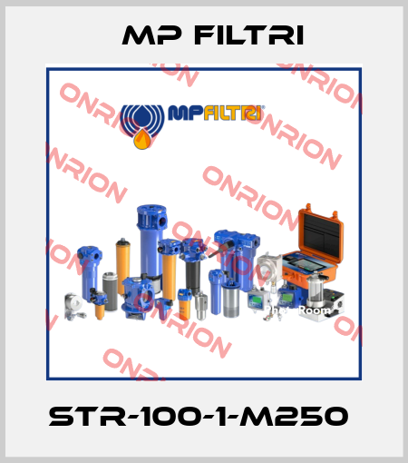 STR-100-1-M250  MP Filtri