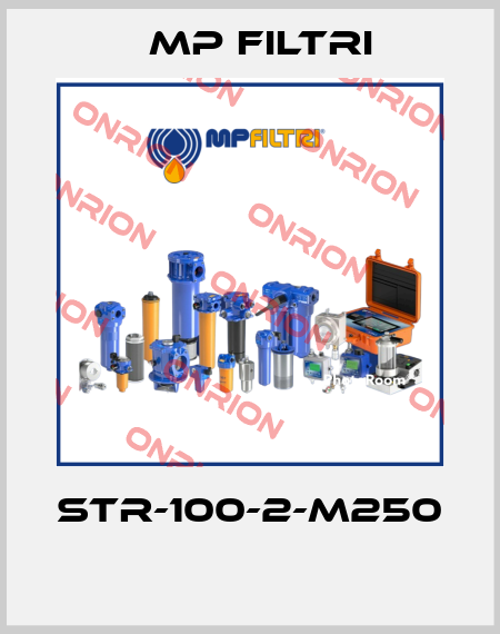 STR-100-2-M250  MP Filtri