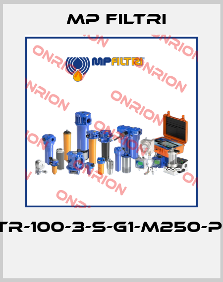 STR-100-3-S-G1-M250-P01  MP Filtri