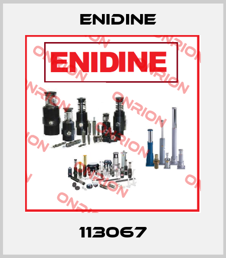  113067 Enidine