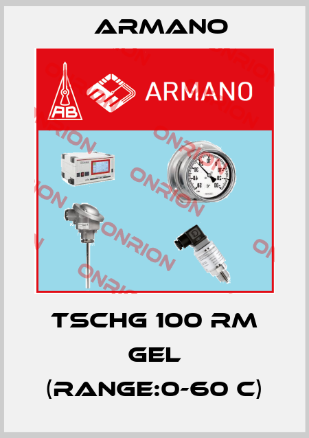TSCHG 100 RM GEL (RANGE:0-60 C) ARMANO