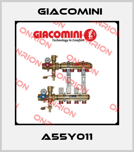 A55Y011 Giacomini