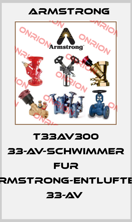 T33AV300 33-AV-SCHWIMMER FUR ARMSTRONG-ENTLUFTER 33-AV  Armstrong