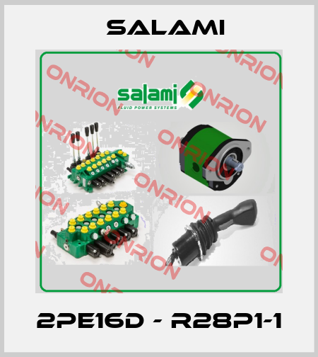 2PE16D - R28P1-1 Salami