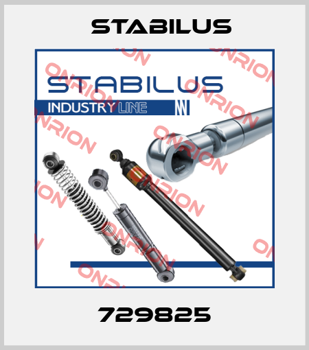 729825 Stabilus