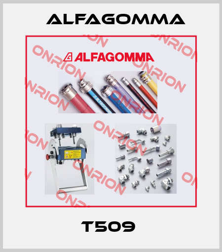 T509  Alfagomma