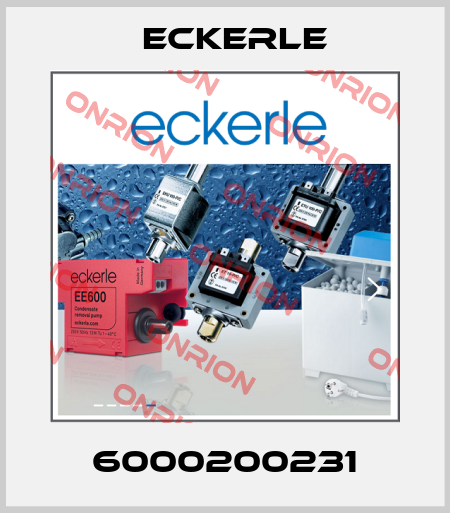 6000200231 Eckerle