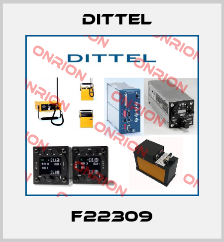 F22309 Dittel