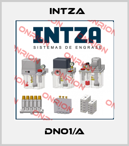 DN01/A Intza