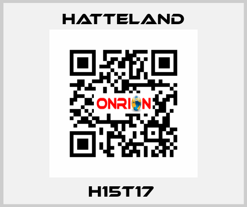 H15T17  HATTELAND