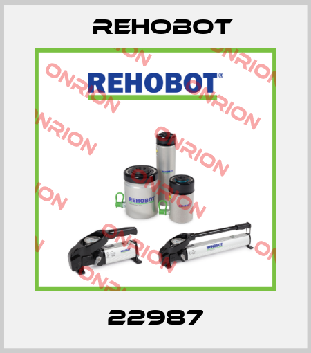 22987 Rehobot