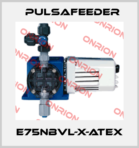 E75NBVL-X-ATEX Pulsafeeder