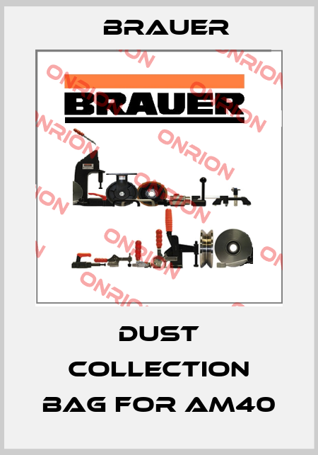 Dust collection bag for AM40 Brauer