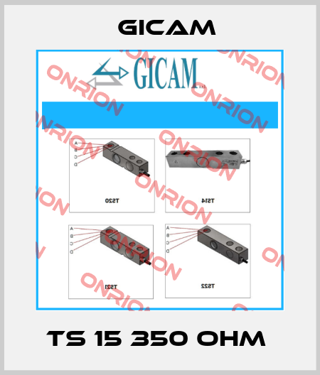 TS 15 350 OHM  Gicam