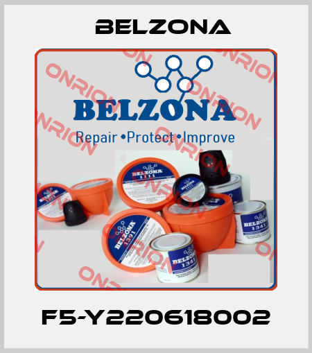 F5-Y220618002 Belzona